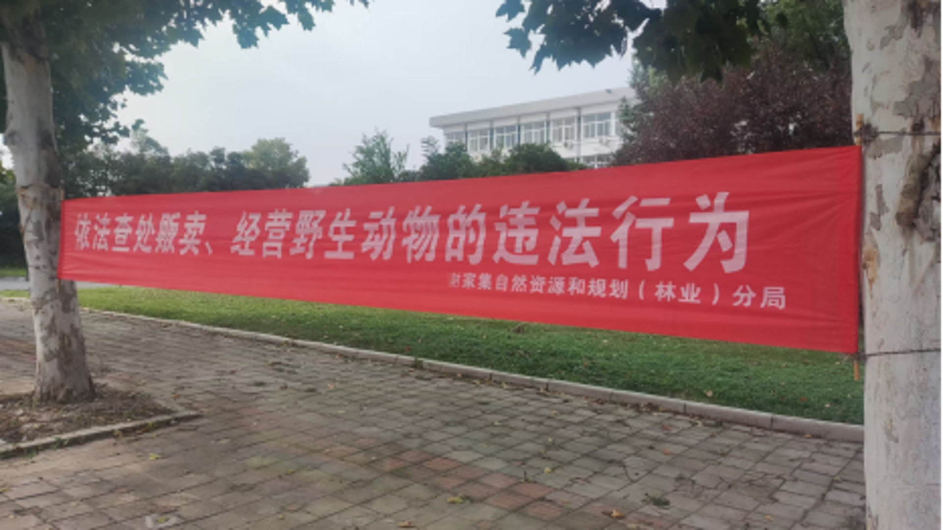谢家集健身训练